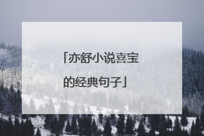 亦舒小说喜宝的经典句子