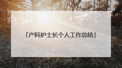 产科护士长个人工作总结