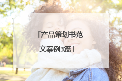 产品策划书范文案例3篇