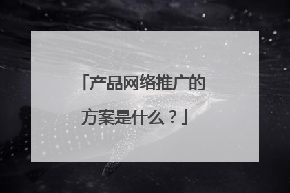 产品网络推广的方案是什么?