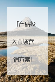产品投入市场营销方案