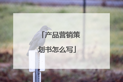 产品营销策划书怎么写