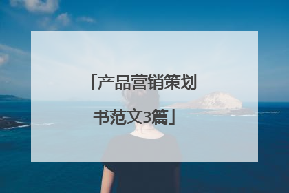 产品营销策划书范文3篇