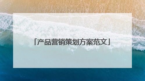 产品营销策划方案范文