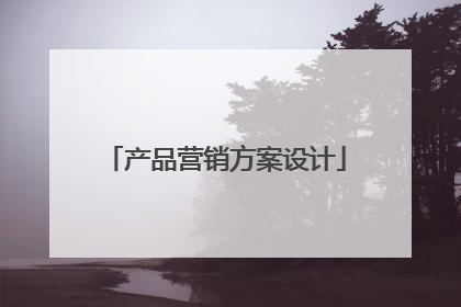 产品营销方案设计