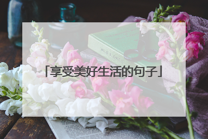享受美好生活的句子