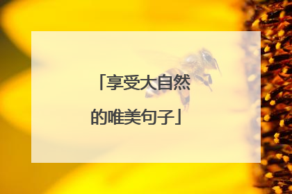 享受大自然的唯美句子