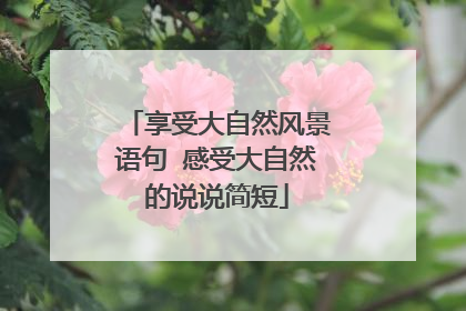 享受大自然风景语句 感受大自然的说说简短