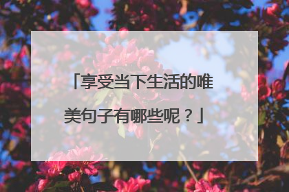 享受当下生活的唯美句子有哪些呢?