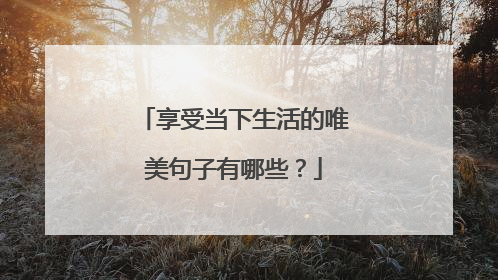 享受当下生活的唯美句子有哪些？