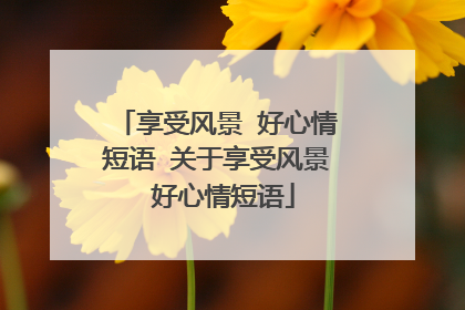 享受风景 好心情短语 关于享受风景 好心情短语