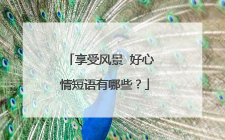 享受风景 好心情短语有哪些?