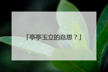 亭亭玉立的意思？