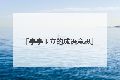 亭亭玉立的成语意思