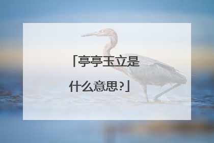 亭亭玉立是什么意思?