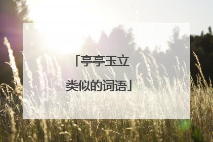 亭亭玉立 类似的词语