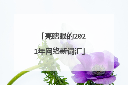 亮瞎眼的2021年网络新词汇