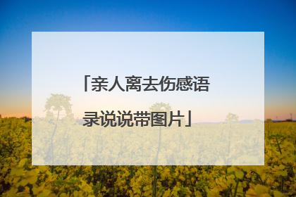 亲人离去伤感语录说说带图片