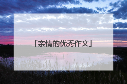 亲情的优秀作文