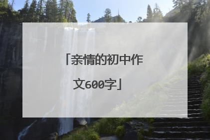 亲情的初中作文600字