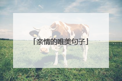 亲情的唯美句子