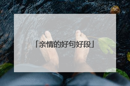 亲情的好句好段