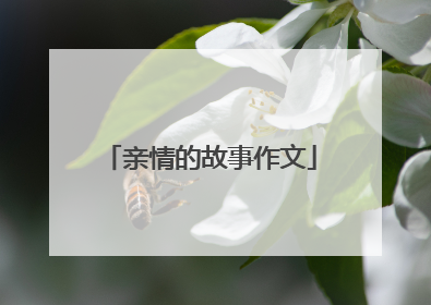 亲情的故事作文