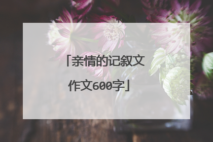 亲情的记叙文作文600字