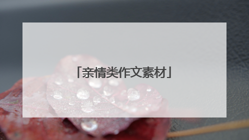 亲情类作文素材