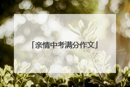 亲情中考满分作文