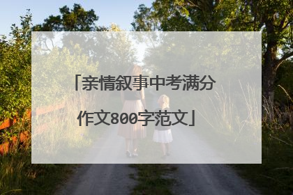亲情叙事中考满分作文800字范文