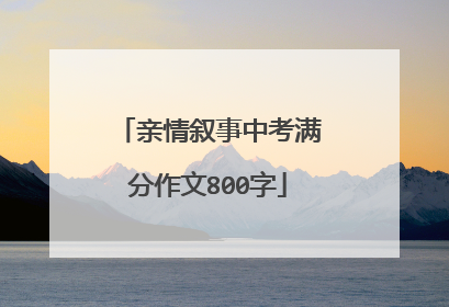 亲情叙事中考满分作文800字