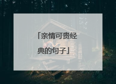 亲情可贵经典的句子