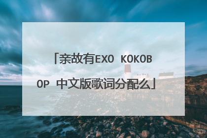 亲故有EXO KOKOBOP 中文版歌词分配么
