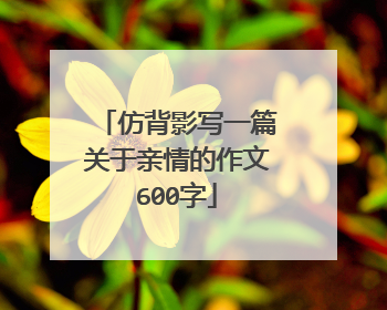 仿背影写一篇关于亲情的作文600字
