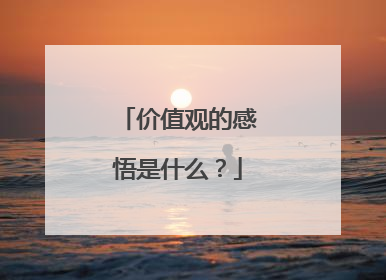 价值观的感悟是什么？