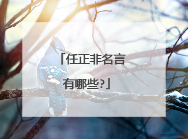 任正非名言有哪些?