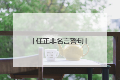 任正非名言警句