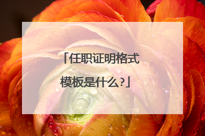 任职证明格式模板是什么?