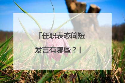 任职表态简短发言有哪些？