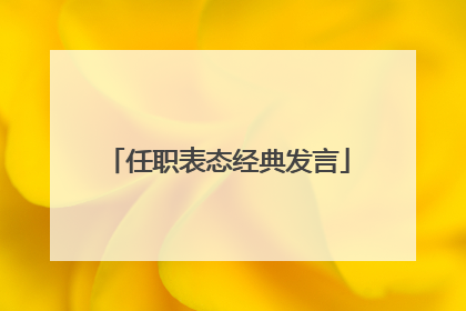 任职表态经典发言