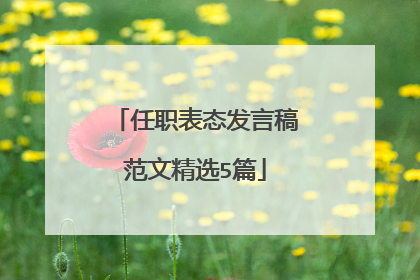 任职表态发言稿范文精选5篇