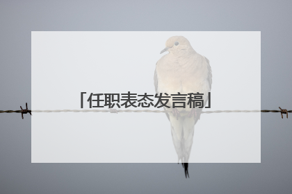 任职表态发言稿