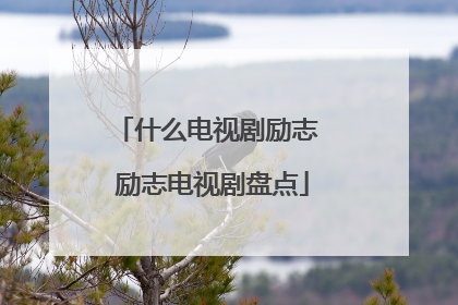 什么电视剧励志 励志电视剧盘点