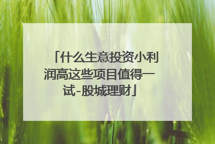 什么生意投资小利润高这些项目值得一试-股城理财