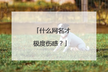 什么网名才极度伤感？