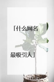 什么网名最吸引人