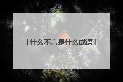 什么不言是什么成语