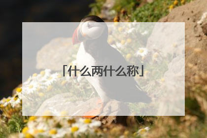 什么两什么称