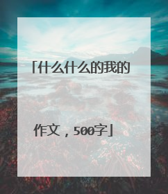 什么什么的我的作文，500字